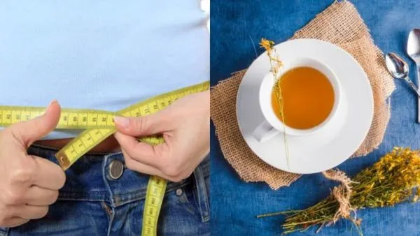 തടി കുറയ്ക്കാൻ ഇനി മരുന്നും മന്ത്രവും ഒന്നും വേണ്ട; ഈ പ്രകൃതിദത്ത പാനീയങ്ങൾ പരീക്ഷിച്ചു നോക്കൂ